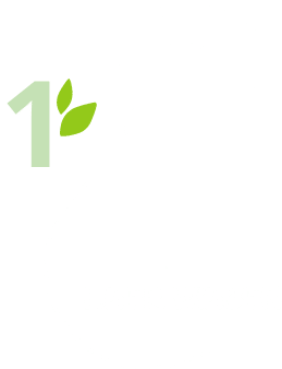 Illustration Nummer 1 – Behälter Leer wiegen im Unverpackt-Laden dargestellt durch einen leeren Behälter, der auf einer Waage steht